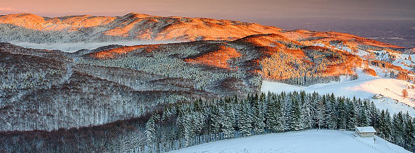 The Cansiglio forest in a wintry sunrise and in the background the plain of the Friuli Venezia Giulia , Veneto, Italy, Europe