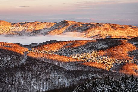 Panoramic view of the Cansiglio forest in a wintry sunrise, Veneto, Italy, Europe