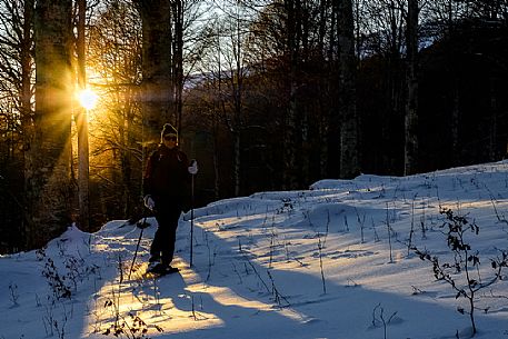 Snowshoe hike in the winter path in the Cansiglio forest, Pizzaoc mount,  Veneto, Italy, Europe