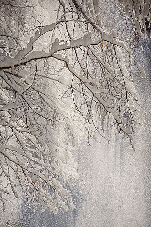 Beautiful light in the snowy Cansiglio forest, Veneto, Italy, Europe