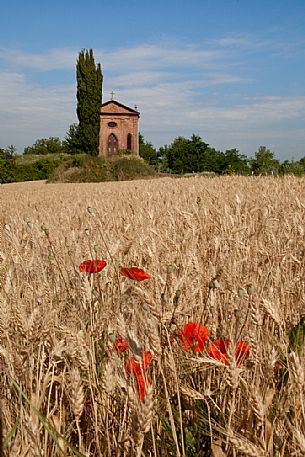 Field of barley and the little church in Castagnole Monferrato, Monferrato, Piedmont, Italy, Europe
