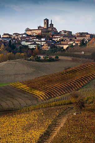 The vineyards in front of Grazzano Badoglio village in autumn, Monferrato, Piedmont, Italy, Europe