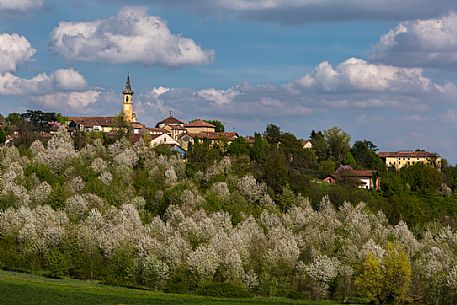 Terruggia village in spring, Monferrato, Piedmont, Italy, Europe