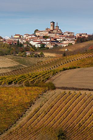 The vineyards in front of Grazzano Badoglio in autumn, Monferrato, Piedmont, Italy, Europe