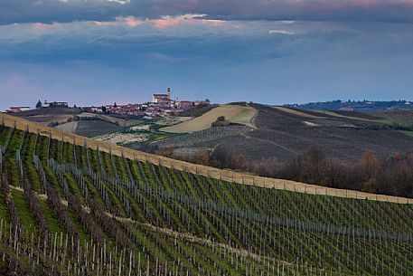 The vineyards in front of the little village of Grana Monferrato, Piedmont, Italy, Europe
