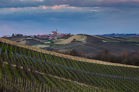 The vineyards in front of the little village of Grana Monferrato, Piedmont, Italy, Europe
