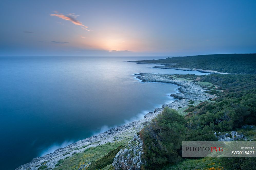 The regional nature park of Porto Selvaggio is a regional park of Puglia site in the province of Lecce. The coast is rugged and rocky, and characterized by pine woods and Mediterranean bush. Along the coast are located the Tower 