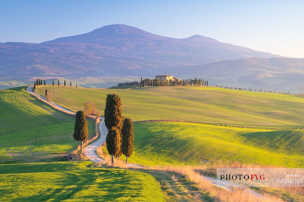 Typical view of Val d'Orcia valley in Tuscany with farm and cypresses, Pienza, Italy, Europe