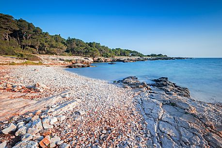 The regional nature park of Porto Selvaggio is a regional park of Puglia site in the province of Lecce. The coast is rugged and rocky, and characterized by pine woods and Mediterranean bush. Along the coast are located the Tower 