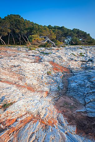 The regional nature park of Porto Selvaggio is a regional park of Puglia site in the province of Lecce. The coast is rugged and rocky, and characterized by pine woods and Mediterranean bush. Along the coast are located the Tower The regional nature park of Porto Selvaggio is a regional park of Puglia site in the province of Lecce. The coast is rugged and rocky, and characterized by pine woods and Mediterranean bush. Along the coast are located the Tower