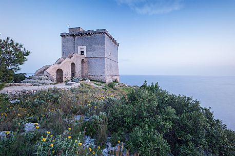 The regional nature park of Porto Selvaggio is a regional park of Puglia site in the province of Lecce. The coast is rugged and rocky, and characterized by pine woods and Mediterranean bush. Along the coast are located the Tower 