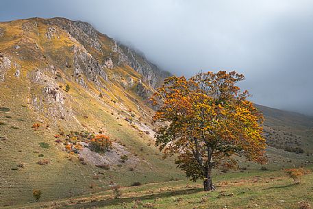 Autumn in Val Chiarino valley, Gran Sasso national park, Abruzzo, Italy, Europe