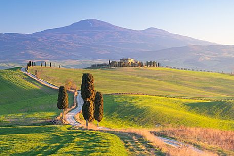 Typical view of Val d'Orcia valley in Tuscany with farm and cypresses, Pienza, Italy, Europe