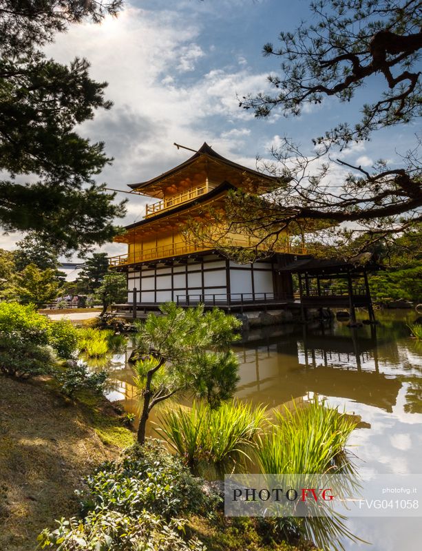 Kinkaku-ji or golden pavilion temple is Japan's most famous leading temples, World Cultural Heritage featuring a shining golden pavillion reflected in a lake, Kyoto, Japan