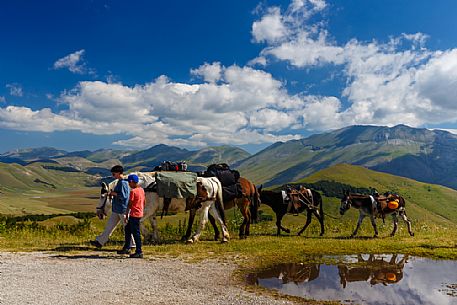 Horse riding on the mountains of Monti Sibillini national park. In the background Castelluccio di Norcia and Monte Vettore. Umbria, Italy, Europe.