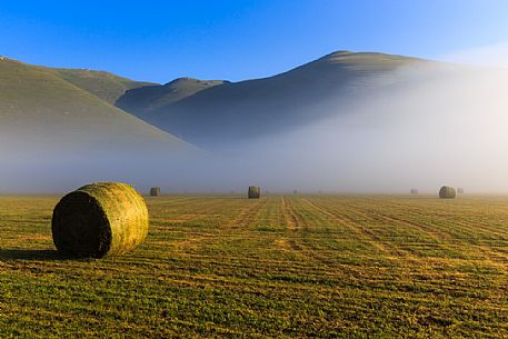 Fog in Pian Grande of Castelluccio di Norcia, Sibillini National park, Umbria, Italy, Europe