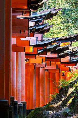 Detail of the arches (torii) of the Fushimi Inari Taisha Shrine temple in Kyoto, famous for its avenues covered by thousands of red painted arches, Kyoto, Japan
