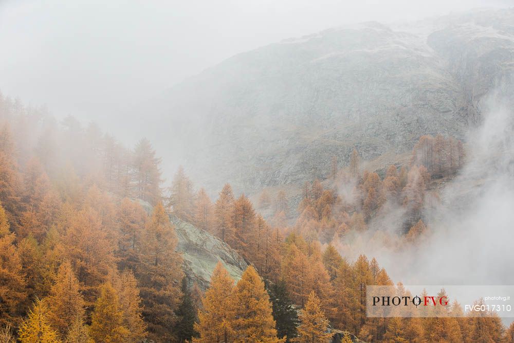 Autumn atmosphere in gran paradiso national park