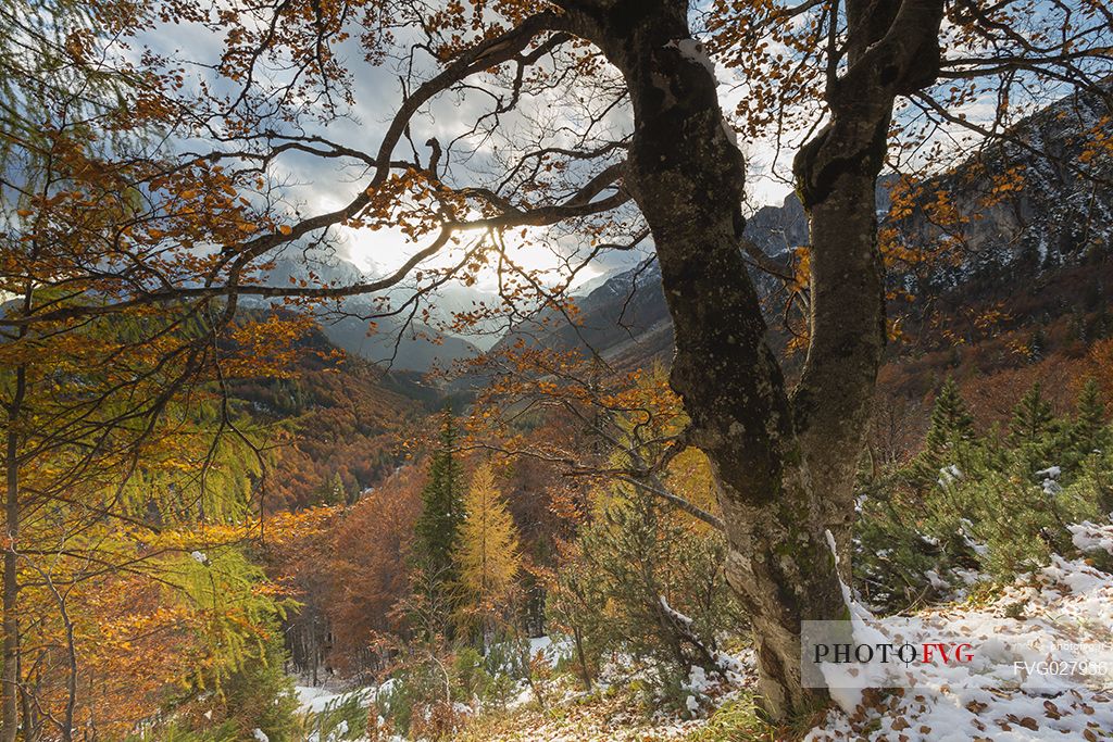 Mangart Road offers, in autumn,  picturesque views towards the Log Koritnica Valley in Slovenia