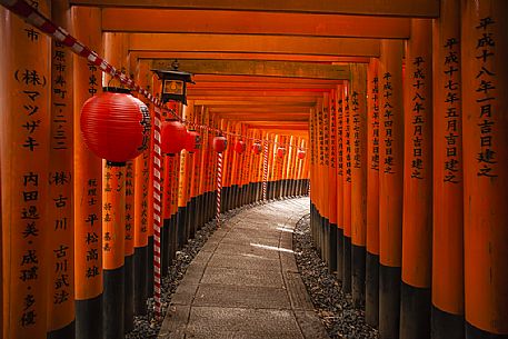 Fushimi Inari Taisha Temple is an important Shinto shrine in southern  Kyoto. It's famous for its thousands of vermillion torii gates, Kyoto, Japan