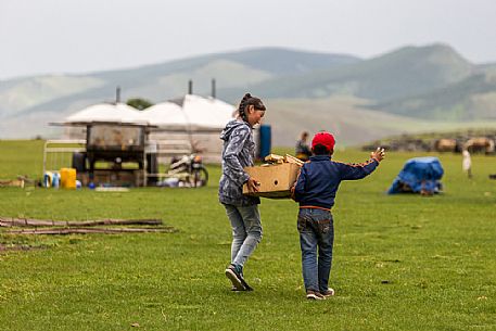 Two children helping their family picking up some wood for the fire, Mongolia