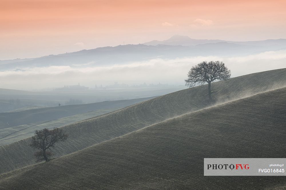 a misty morning in Val d'Orcia, Tuscany