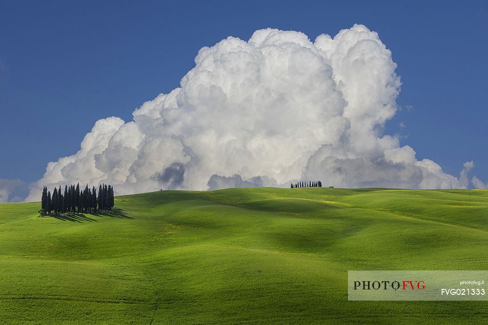 The sky over the cypresses in Orcia valley, Tuscany, Italy