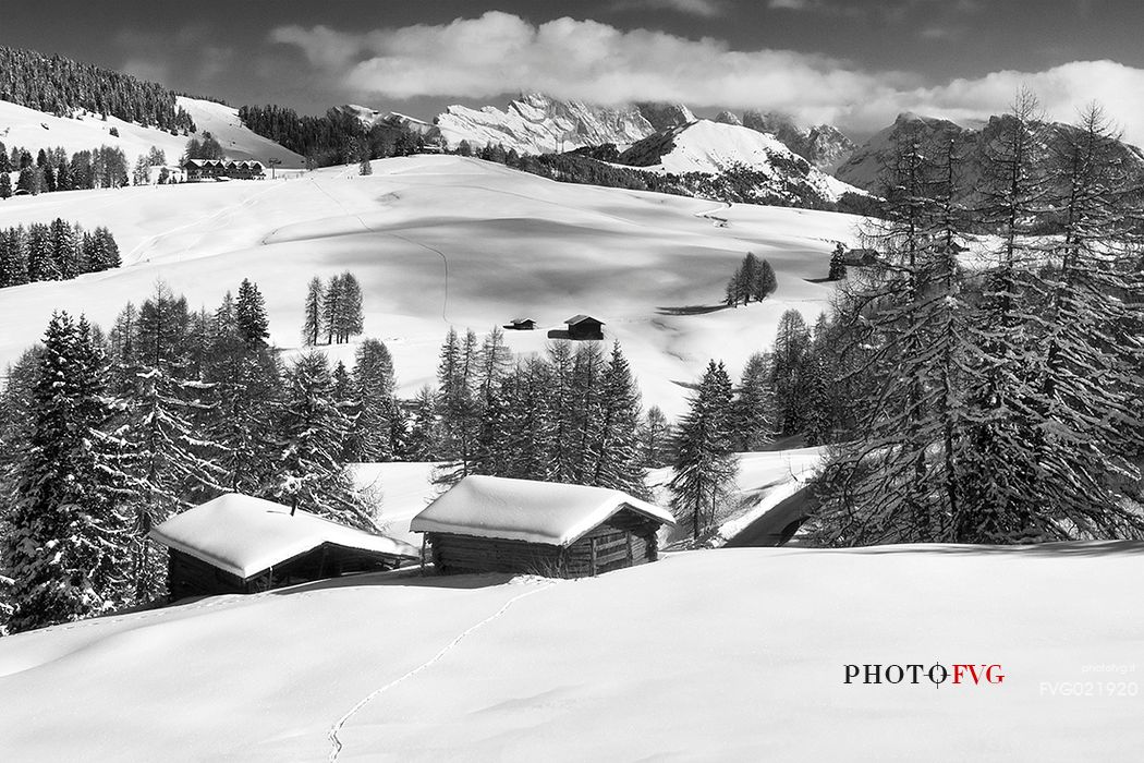 Seiseralm with snow, Gardena valley, South Tyrol, Italy