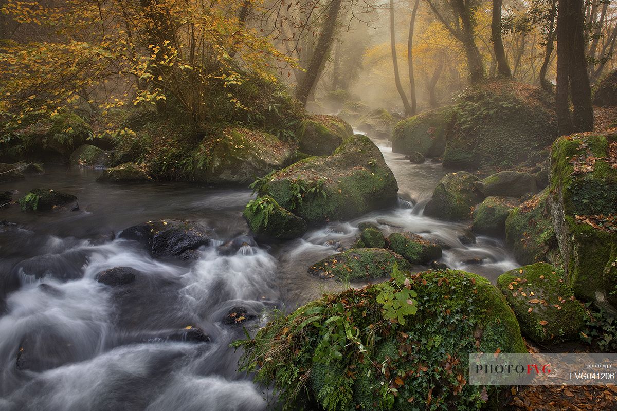 Stream in the Treja valley natural park, Mazzano, Latium, Italy, Europe