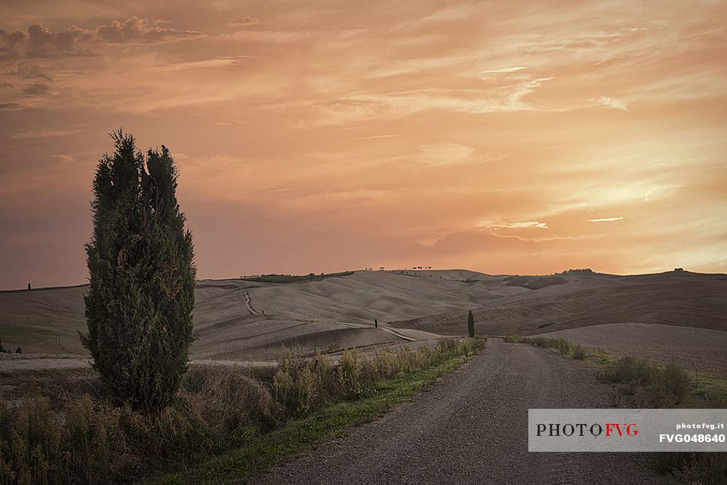 Dirt road in the iconic landscape of Orcia Valley, San Quirico d'Orcia, Tuscany, Italy, Europe