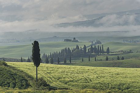 The locations where they were filmed scenes of the film the Gladiator in Orcia valley, Tuscany, Italy