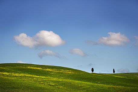 Tuscan landscape, Orcia valley, Tuscany, Italy