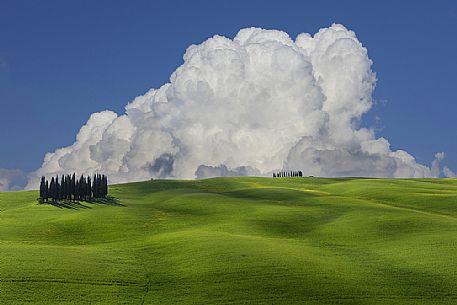 The sky over the cypresses in Orcia valley, Tuscany, Italy