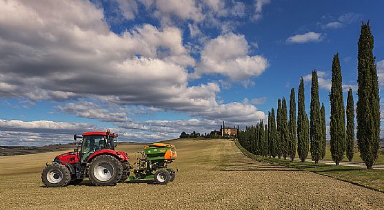 Work in the tuscan fields, Orcia valley, Tuscany, Italy