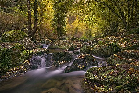 Little river the Treja Valley Regional Park, near Rome, Latium, Italy