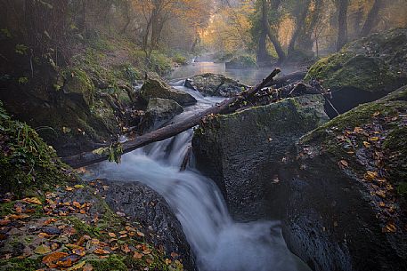 Stream in the Treja valley natural park, Mazzano, Latium, Italy, Europe
