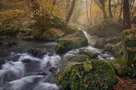 Stream in the Treja valley natural park, Mazzano, Latium, Italy, Europe