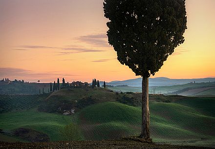 The Belvedere farm, Podere Belvedere in San Quirico d'Orcia, Orcia valley, Tuscany, Italy, Europe