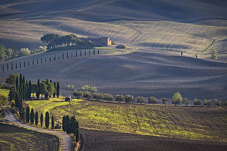 The road leading to the Terrapille farm, where gladiator scenes were filmed, Pienza, ,Orcia Valley, Tuscany, Italy, Europe