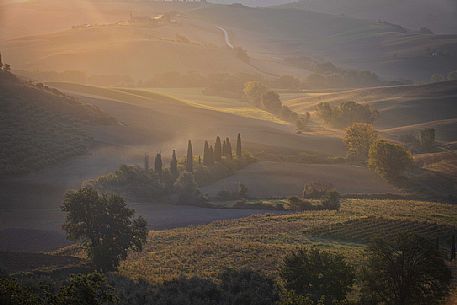 The Belvedere farm, Podere Belvedere in the fog at sunrise, San Quirico d'Orcia, Orcia valley, Tuscany, Italy, Europe