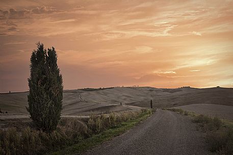 Dirt road in the iconic landscape of Orcia Valley, San Quirico d'Orcia, Tuscany, Italy, Europe