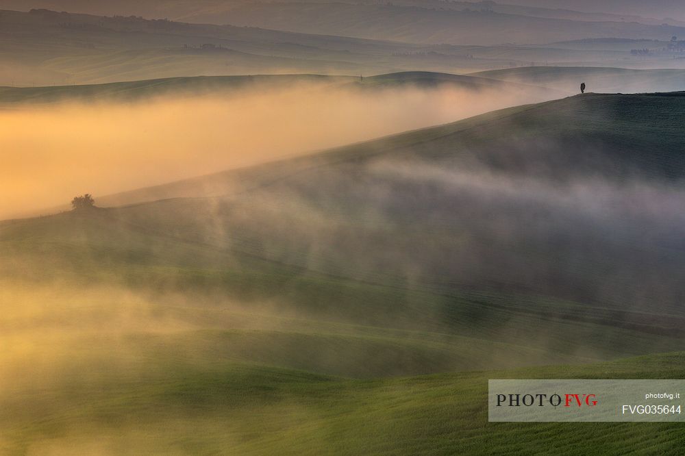 The beauty of the hills in Val d'Orcia in the fog at sunrise, Pienza, Orcia valley, Tuscany, Italy