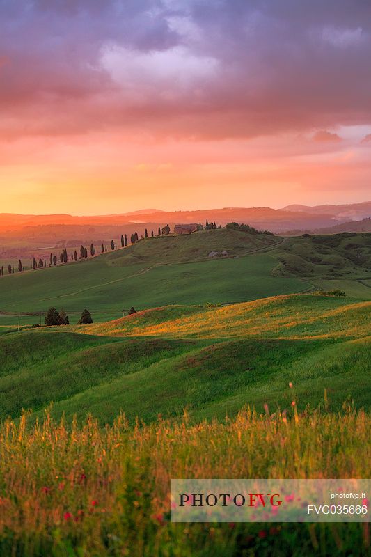 The beauty of the hills in Val d'Orcia at sunset, ridges and farmhouses typical of Tuscan beauties, Tuscany, Italy, Europe