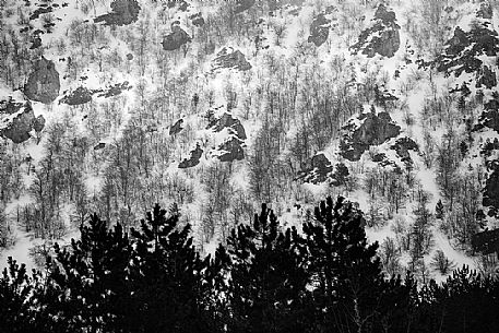 Patterns in the snow in a succession of black and white, Sibillini national park, Italy, Europe