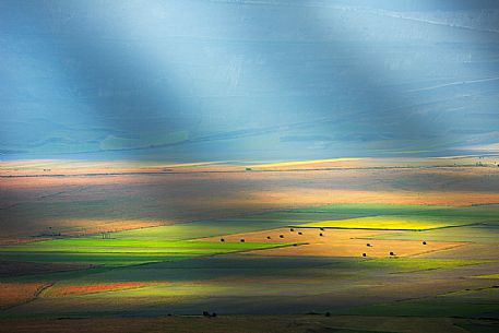 Cultivated fields in the Pian Grande of Castelluccio di Norcia, Sibillini National Park, Umbria, Italy, Europe