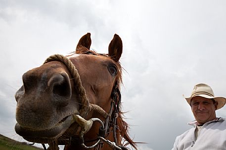 Horse ride to Castelluccio di Norcia, Sibillini National Park, Umbria, Italy, Europe