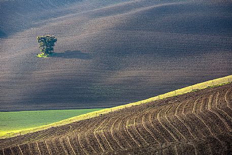 The beauty of the hills in Val d'Orcia, Tuscany, Italy, Europe