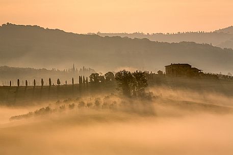The beauty of the hills in Val d'Orcia in the fog at sunrise, Pienza, Orcia valley, Tuscany, Italy