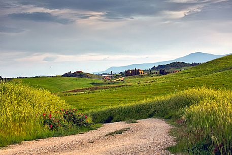 The beauty of the hills in Val d'Orcia, ridges and farmhouses typical of Tuscan beauties, Tuscany, Italy, Europe
