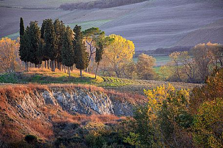 Natural landscape of Val d'Orcia and in the background the farmland in the shadow, Tuscany, Italy, Europe